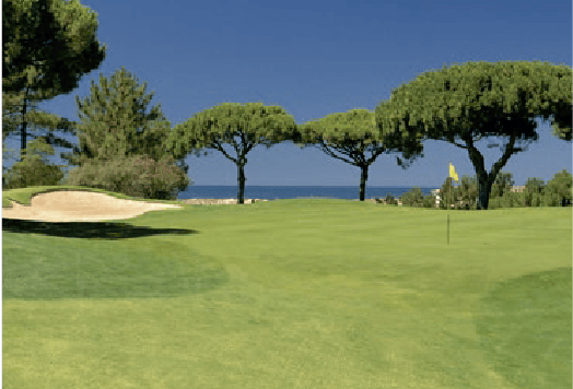 Seven Night golf & Spa Package