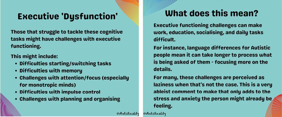 Acorn Autism Executive Functioning
