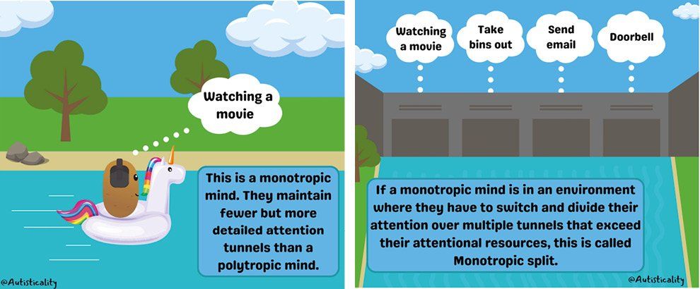 Acorn Autism monotropism and hyperfocus