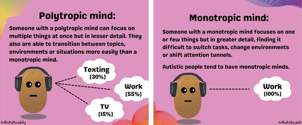 Acorn Autism monotropism and hyperfocus