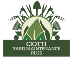 Ciotti Yard Maintenance