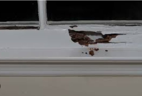 Wood Window Dry Rot Repair in Portland