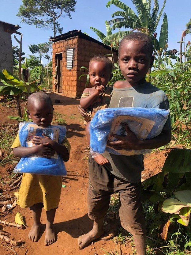 Mosquito Nets — Portland, OR — My Window Man