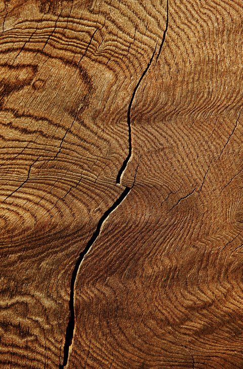 Lavorazione del legno