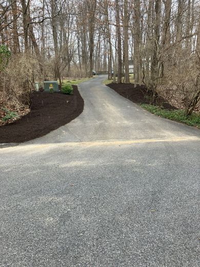 A gravel driveway going through a forest with trees on both sides.