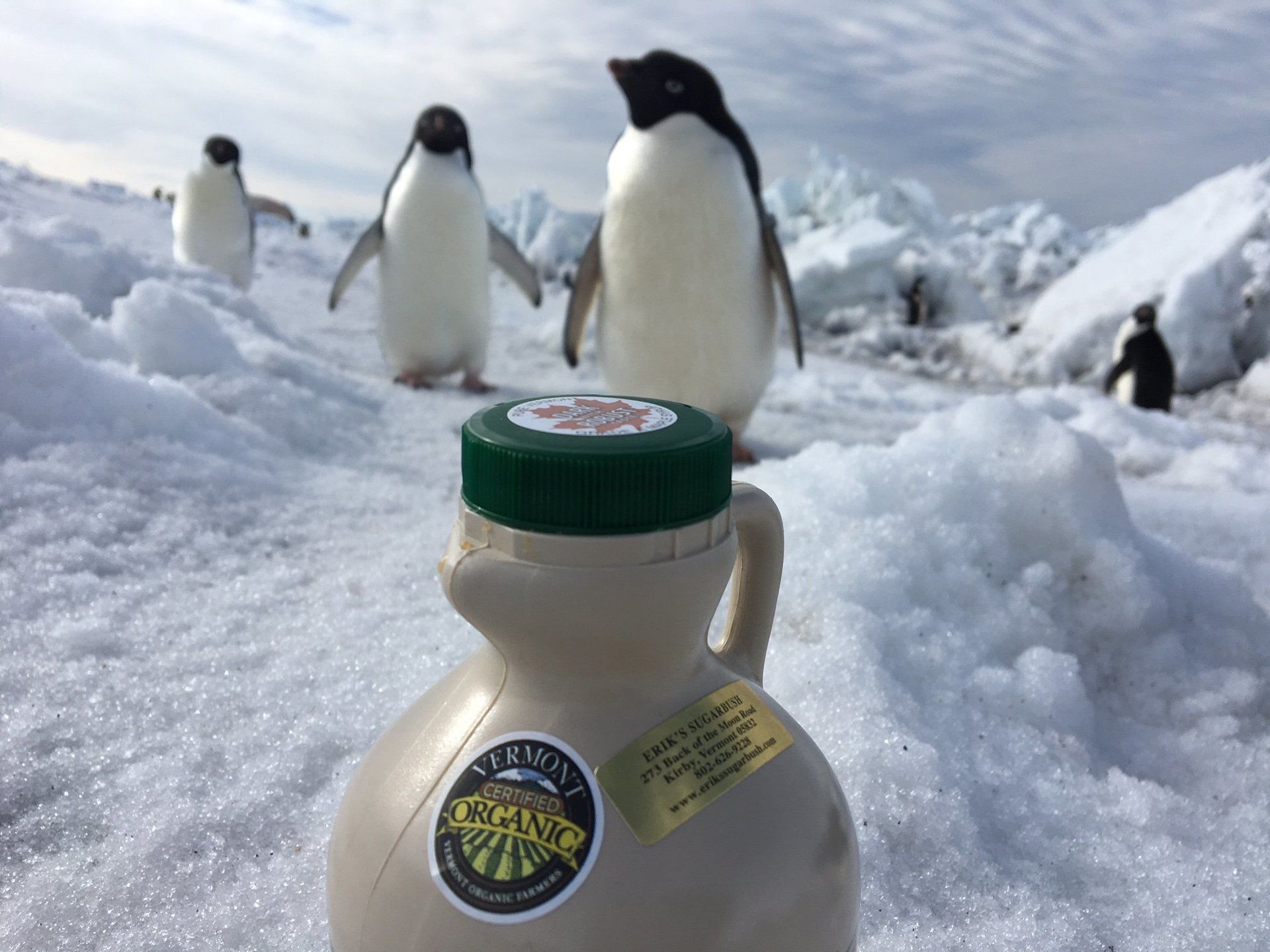 Vermont Certified Organic Maple Syrup in Antartica