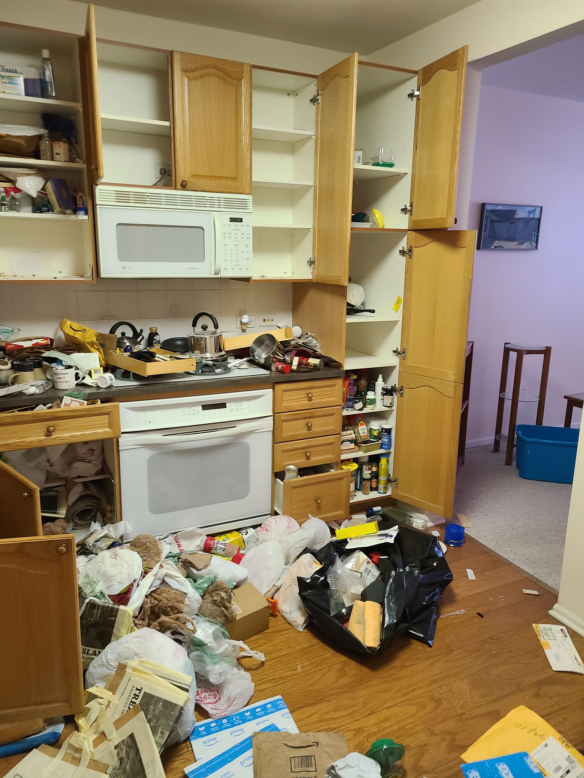 Kitchen Junk Removal Before Picture in Chicago, IL