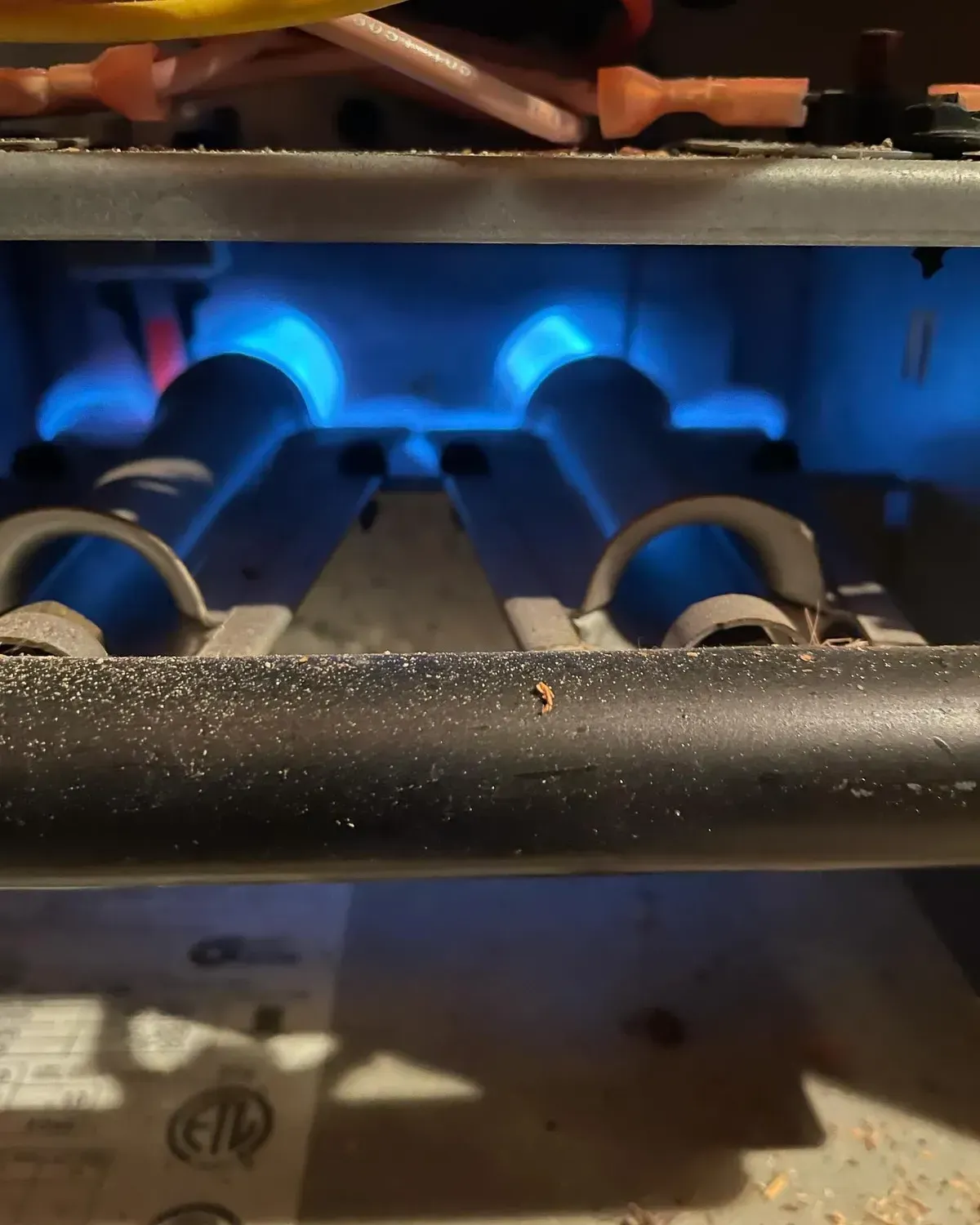 A close up of a gas burner with blue flames coming out of it.