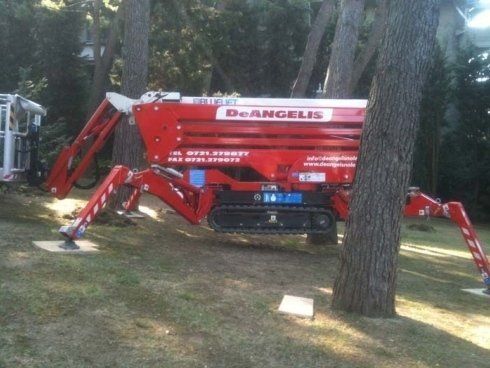 Piattaforma cingolata ragno