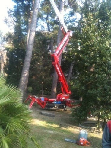 Piattaforma cingolata a noleggio