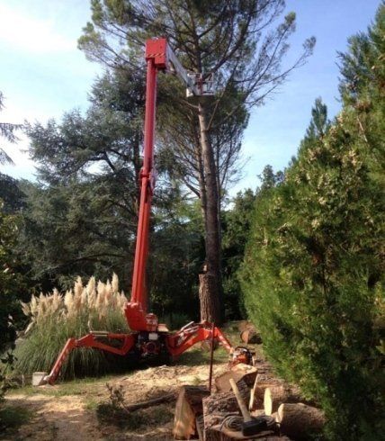 Piattaforma cingolata