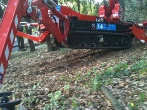 Servizio di noleggio piattaforma cingolata