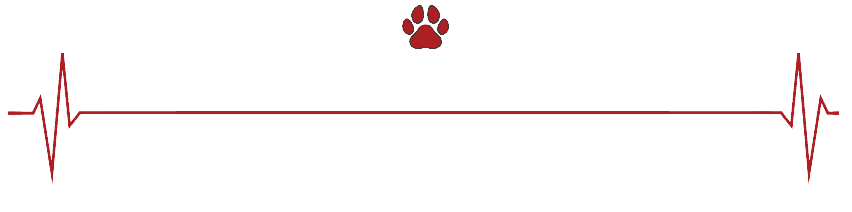 Veterinary Hospital in The Hunter Region Veterinary Hospital in The Hunter Region