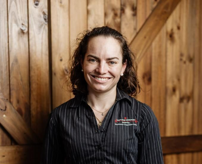 Dr. Emma Is Feeding a Treat to A Small Dog — Westlakes Veterinary Hospital in Fennell Bay, NSW