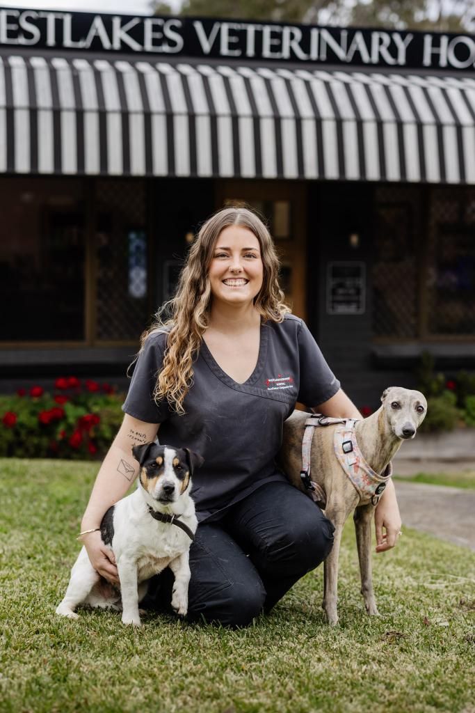 A Woman is Kneeling Down With Two Dogs in Front of a Veterinary Hospital — Westlakes Veterinary Hospital in Fennell Bay, NSW