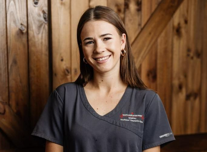 Woman in a gray outfit smiles in front of a wood wall — Westlakes Veterinary Hospital in Fennell Bay, NSW