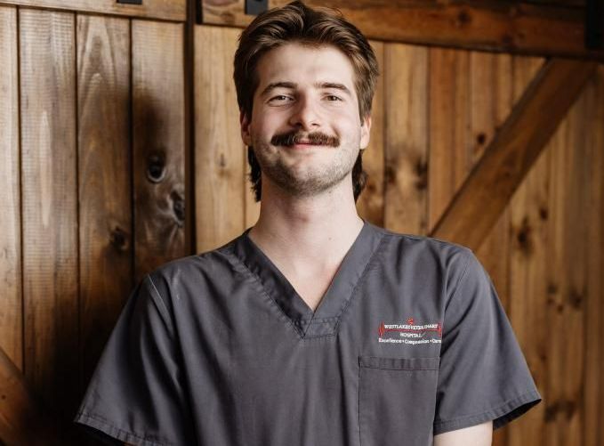 Man in gray scrubs with mustache smiles — Westlakes Veterinary Hospital in Fennell Bay, NSW