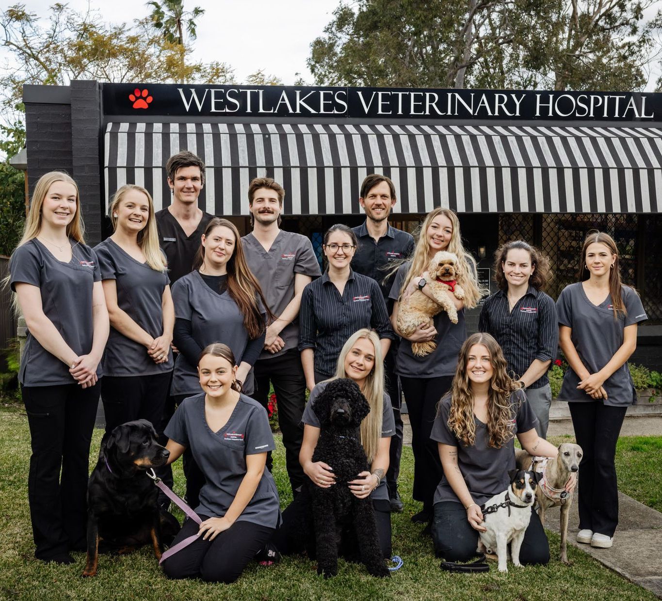 Westlakes Veterinary Hospital staff with pets — Westlakes Veterinary Hospital in Fennell Bay, NSW