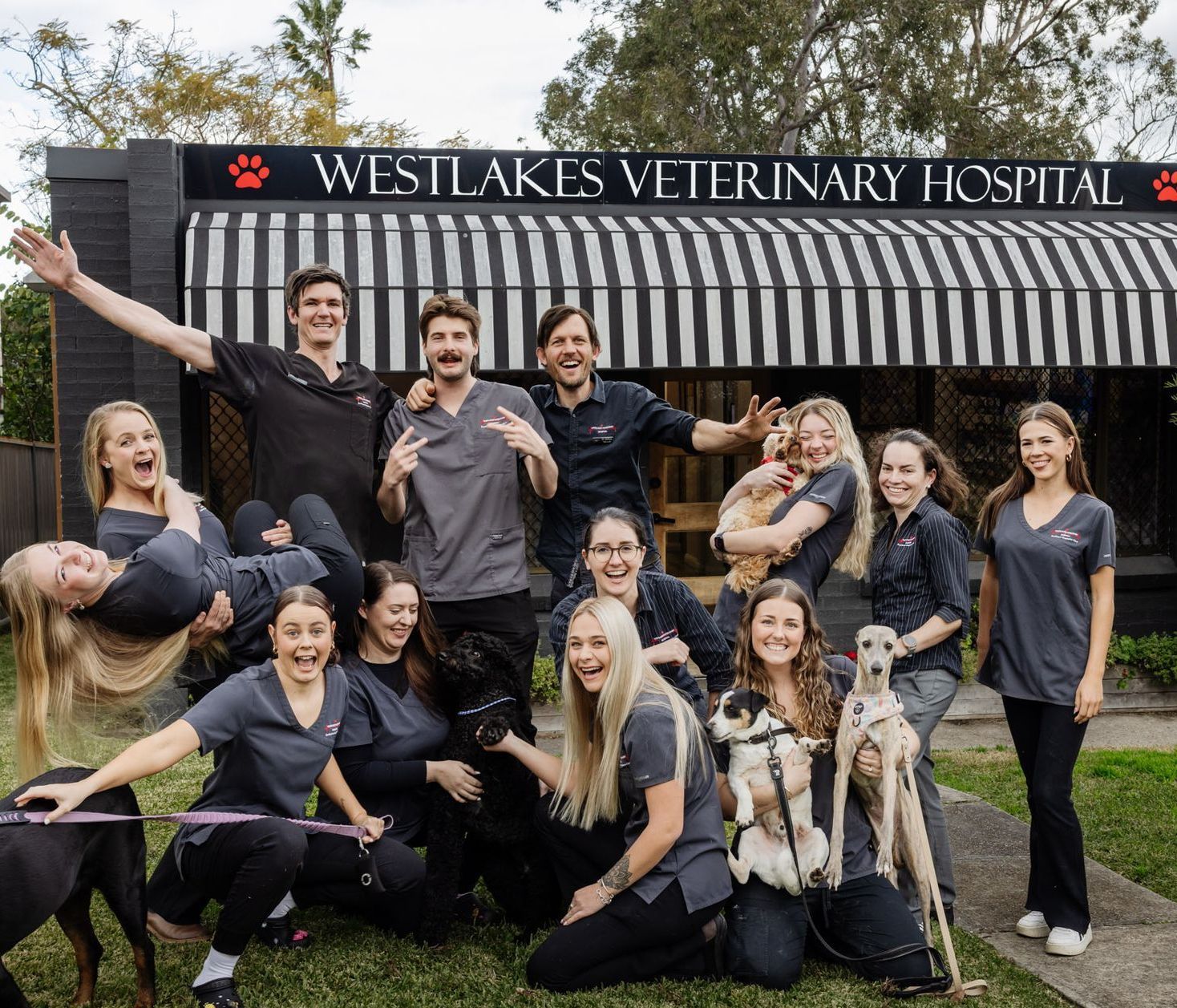 Staff of Westlakes Veterinary Hospital posing with pets — Westlakes Veterinary Hospital in Fennell Bay, NSW