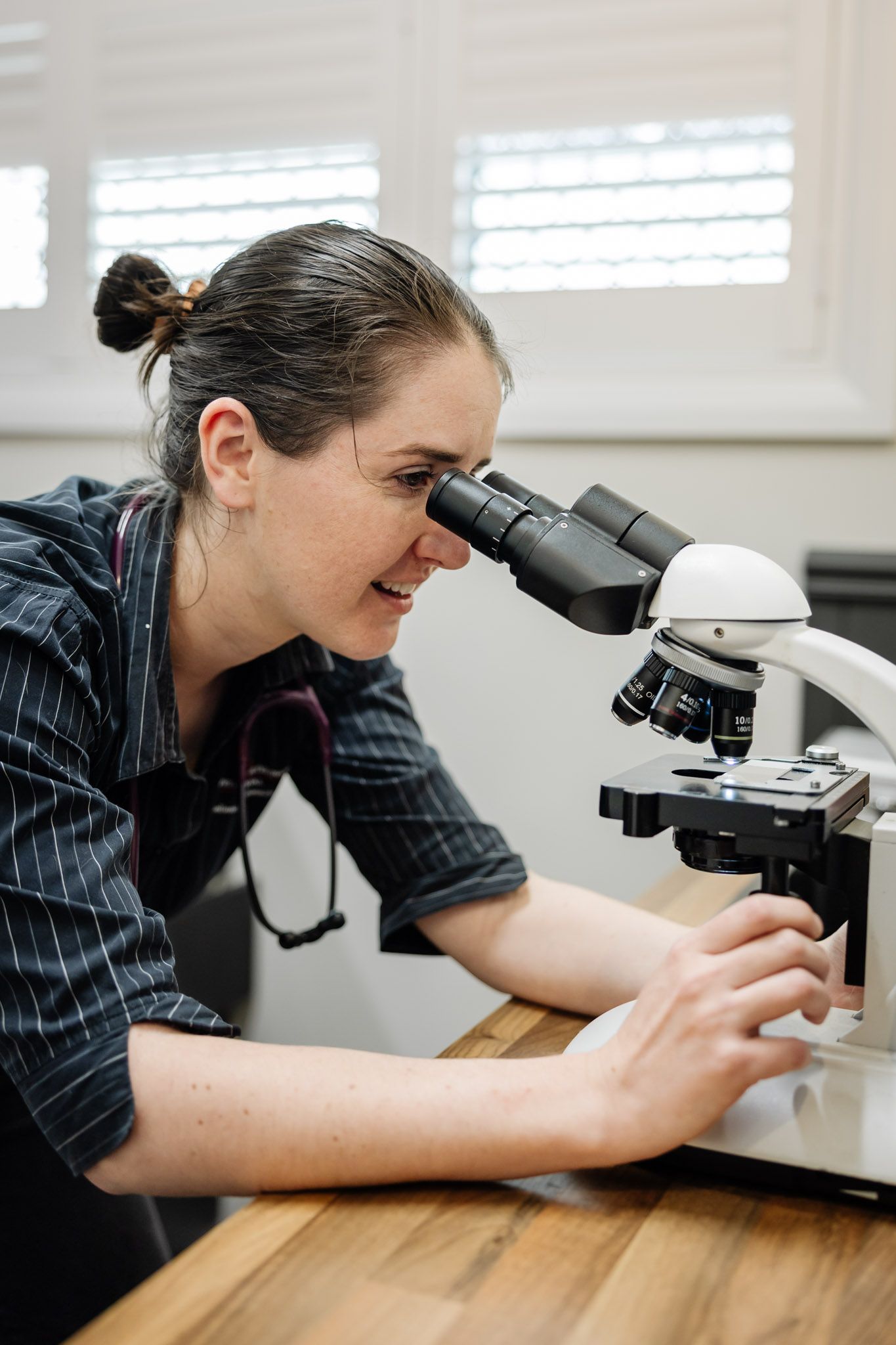 A Woman is Examining something through Stethoscope — Westlakes Veterinary Hospital in Fennell Bay, NSW