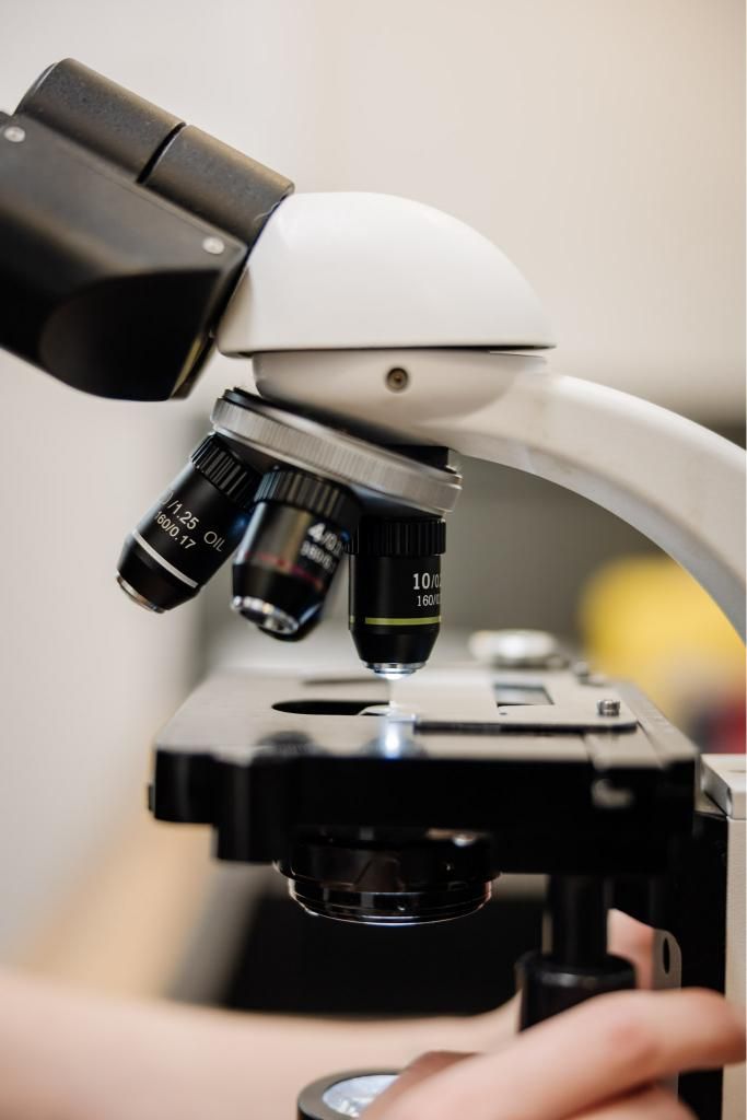 Microscope with black and white body, angled towards the viewer. A person's hand is visible, adjusting the instrument— Westlakes Veterinary Hospital in Fennell Bay, NSW