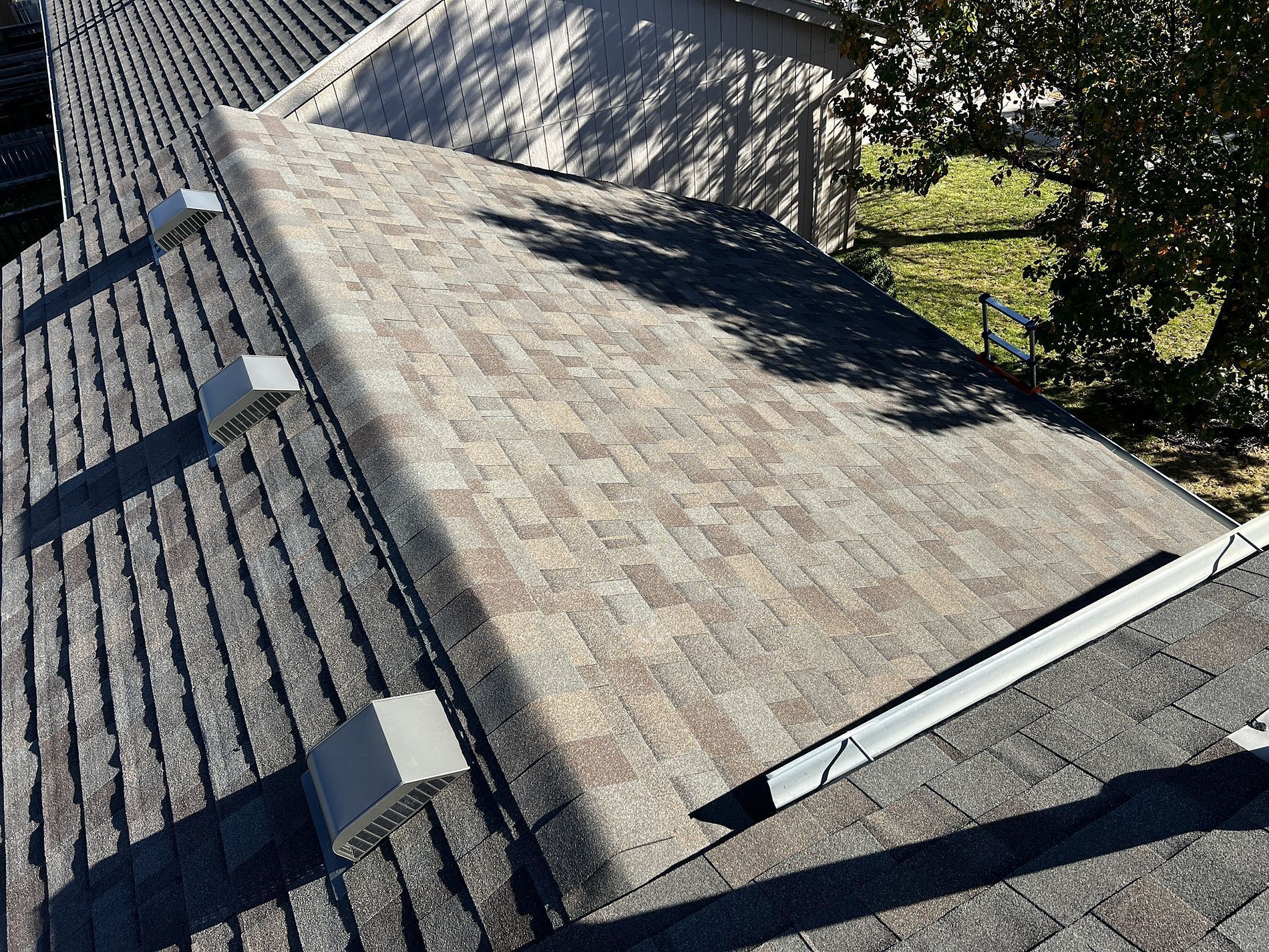 A close up of a roof with shingles on it and a tree in the background.