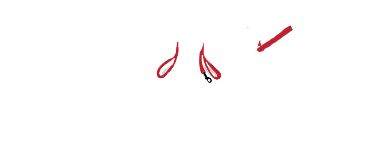 Follow My Lead Dog Training