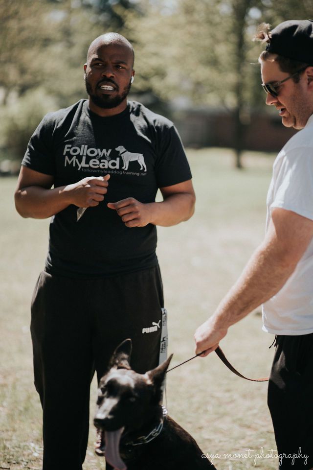 Raymond Turner Explaining on How to Train a Dog