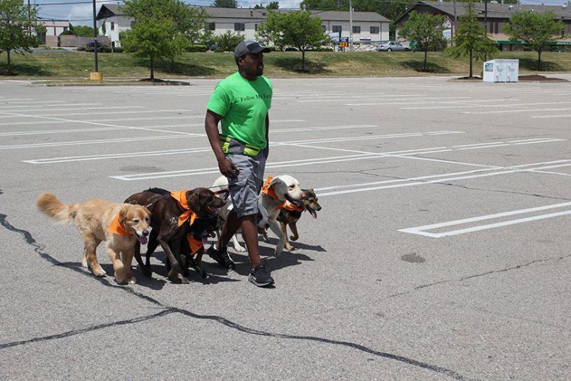Raymond Turner Doing Pack Walks for Dogs