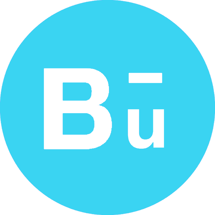 logo-Bu-Alarm-Blu24