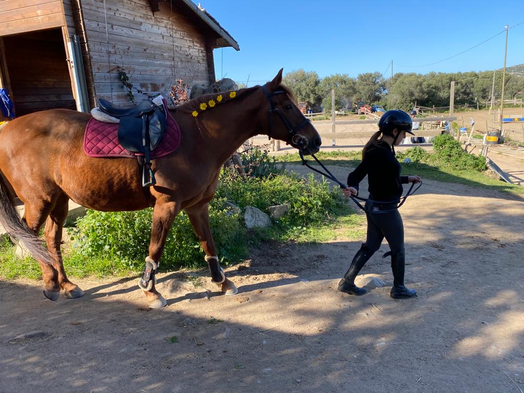 scuola di equitazione