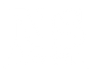 Logo NewSkin