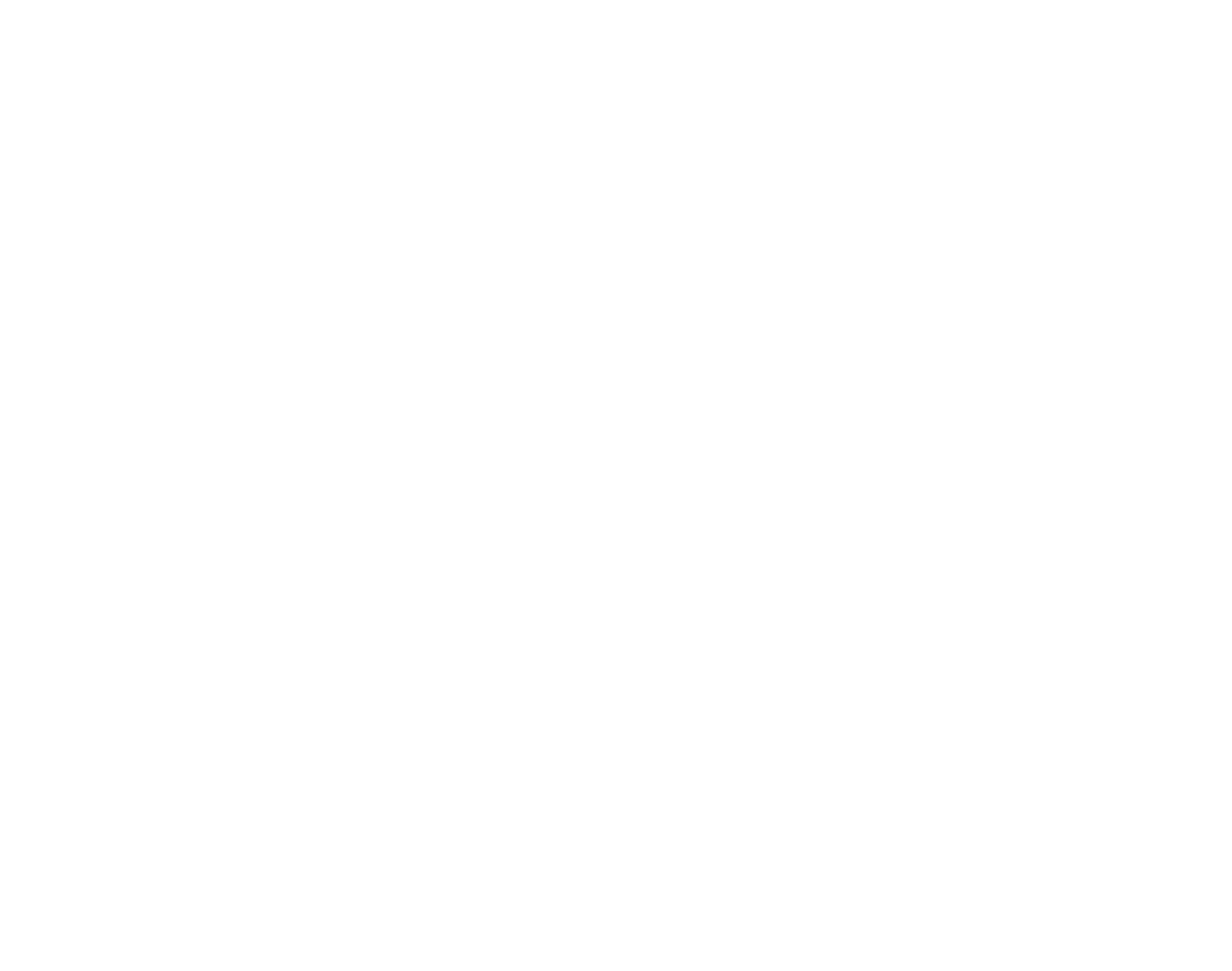 Logo NewSkin