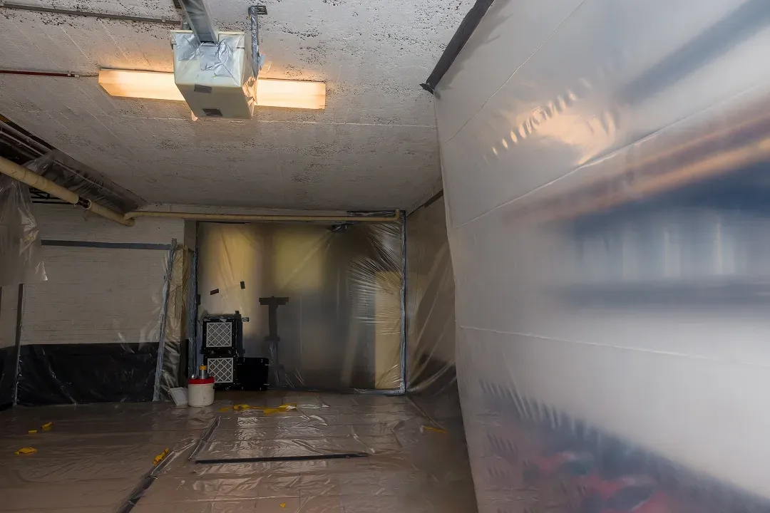 Asbestos Removal Sutherland Shire