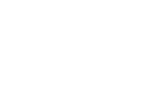 Cinema Detroit
