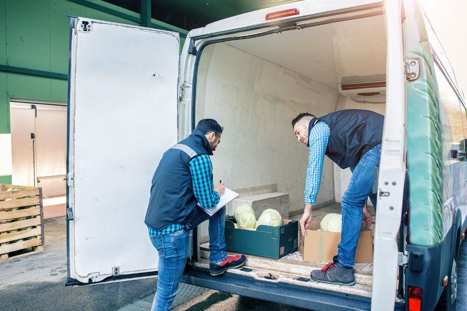 furgoncino a noleggio