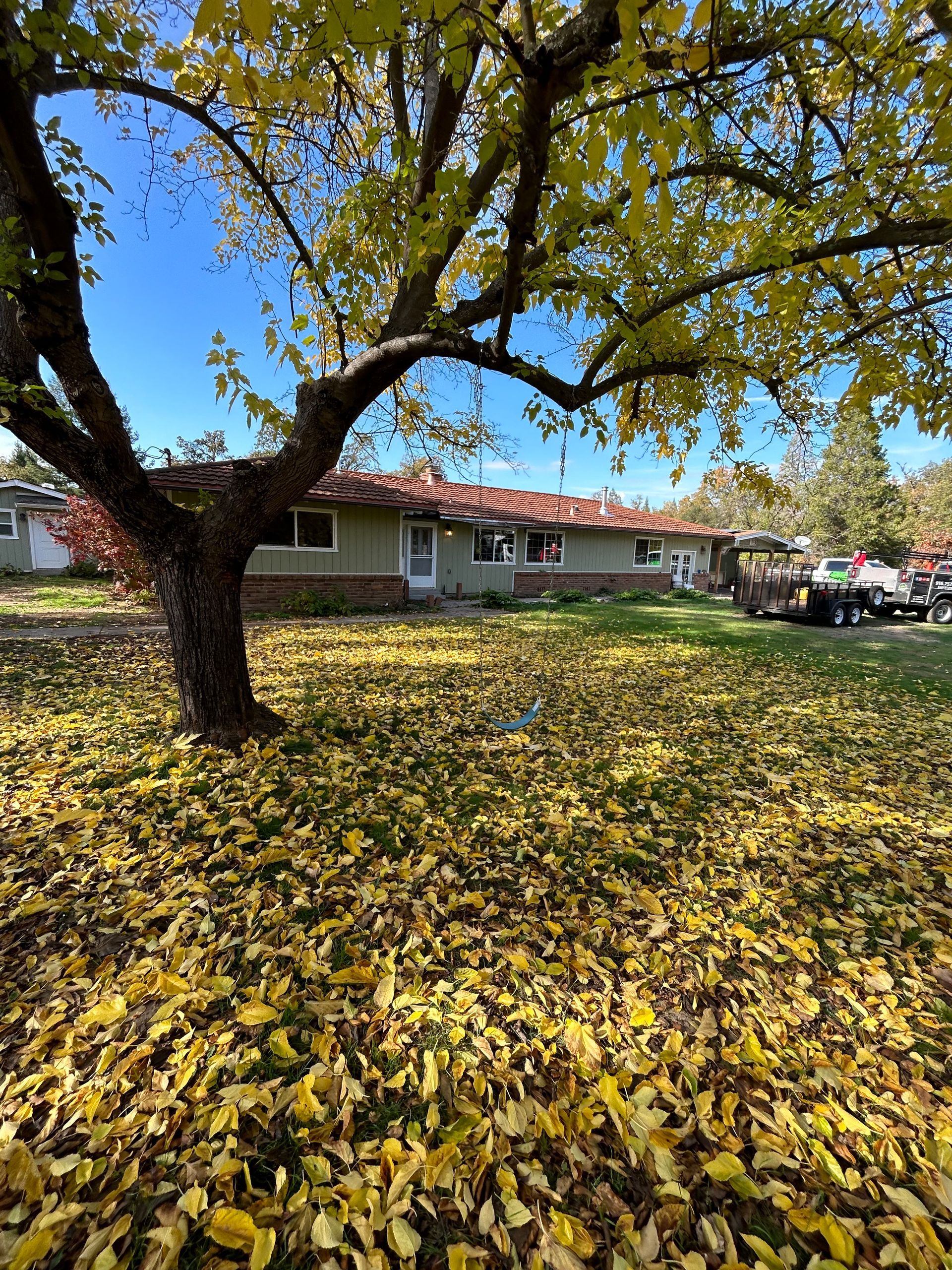 A Tree With Yellow Leaves on the Ground in Front of a House — Chicago, IL — Sterling Holloway Demolition
