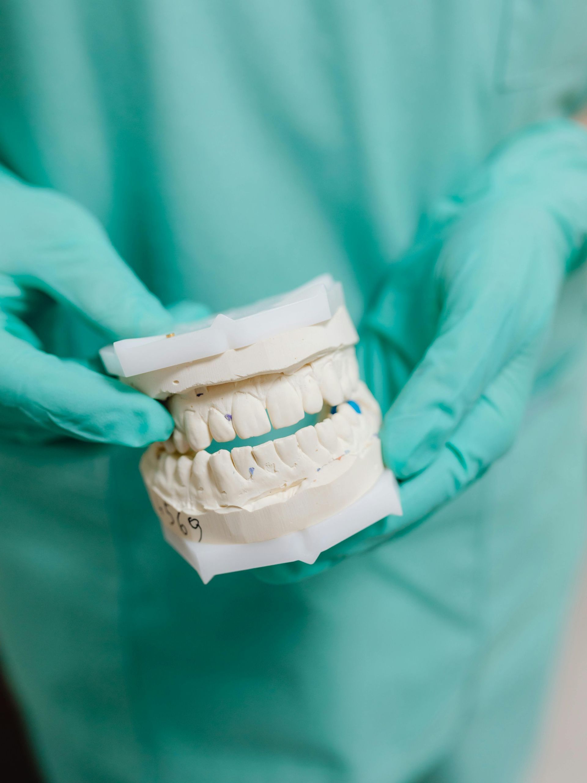 Un dentista tiene in mano un modello dei denti di una persona.