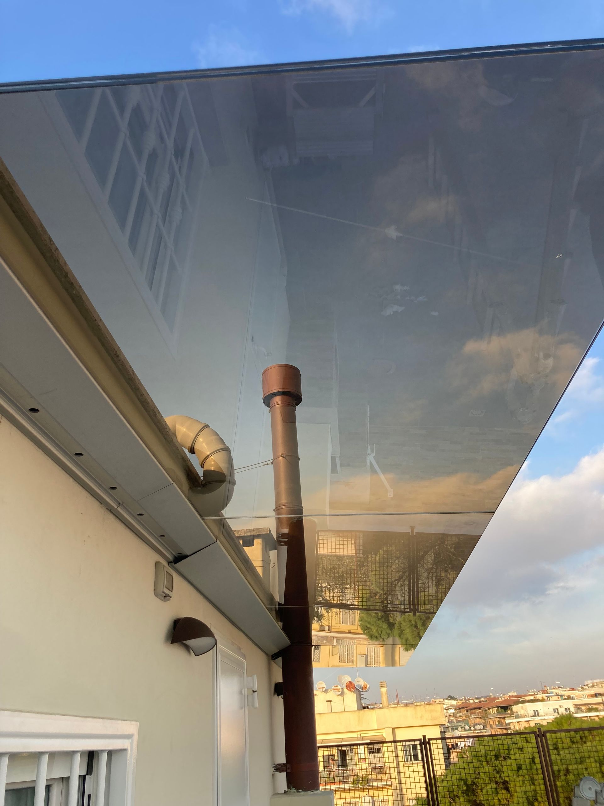 pensillina pe negozio