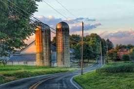 Manhole Cover in Green Grass | Residential Septic Services