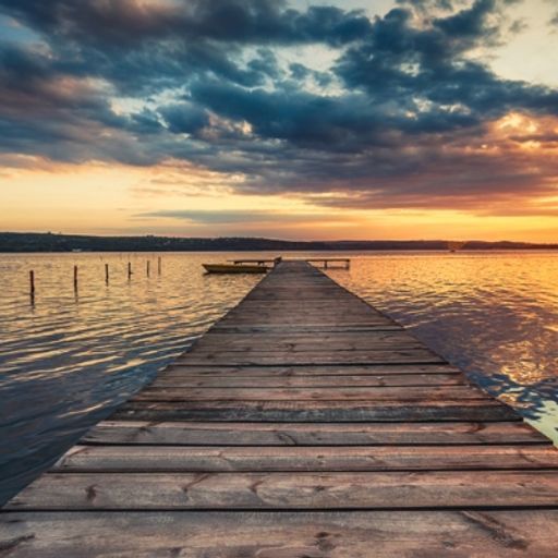 Jane Fuerth Schiowitz