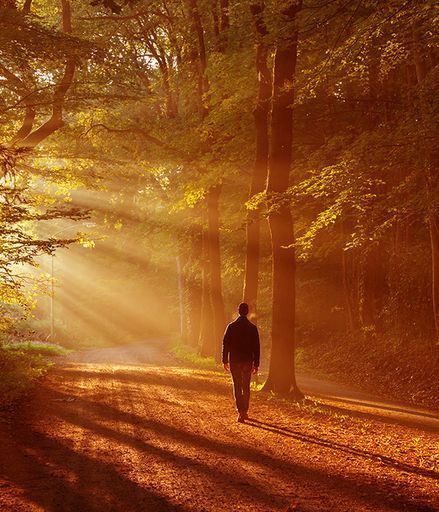 Charne Jimenez Dager