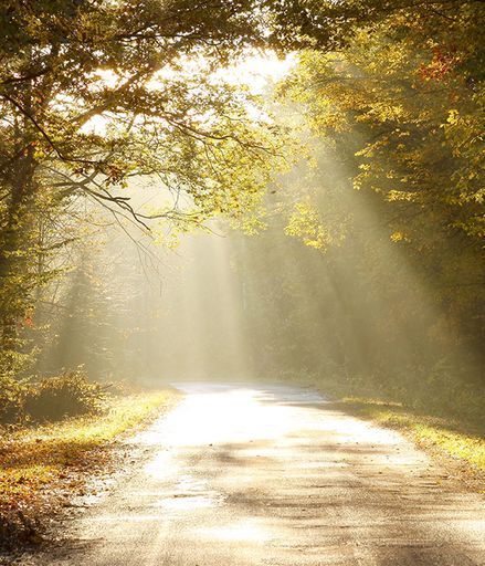 Mechyslau Kulikouski