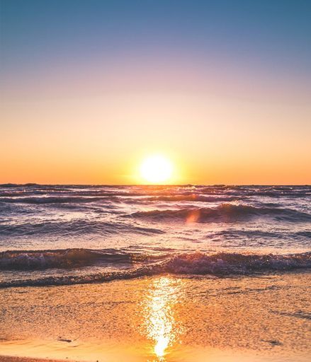 Randolph Philip Rizzo