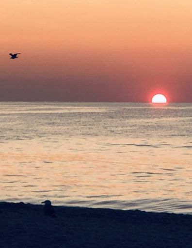 Louis George Dellova