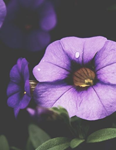 Margaret Mary Casper