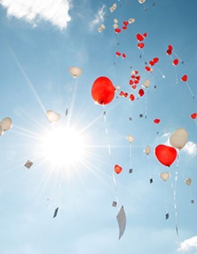 Josephine D. Sardone