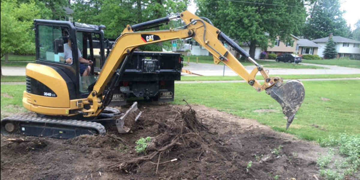 How Do Tree Roots Get into Sewer Pipes & What Should You Do?