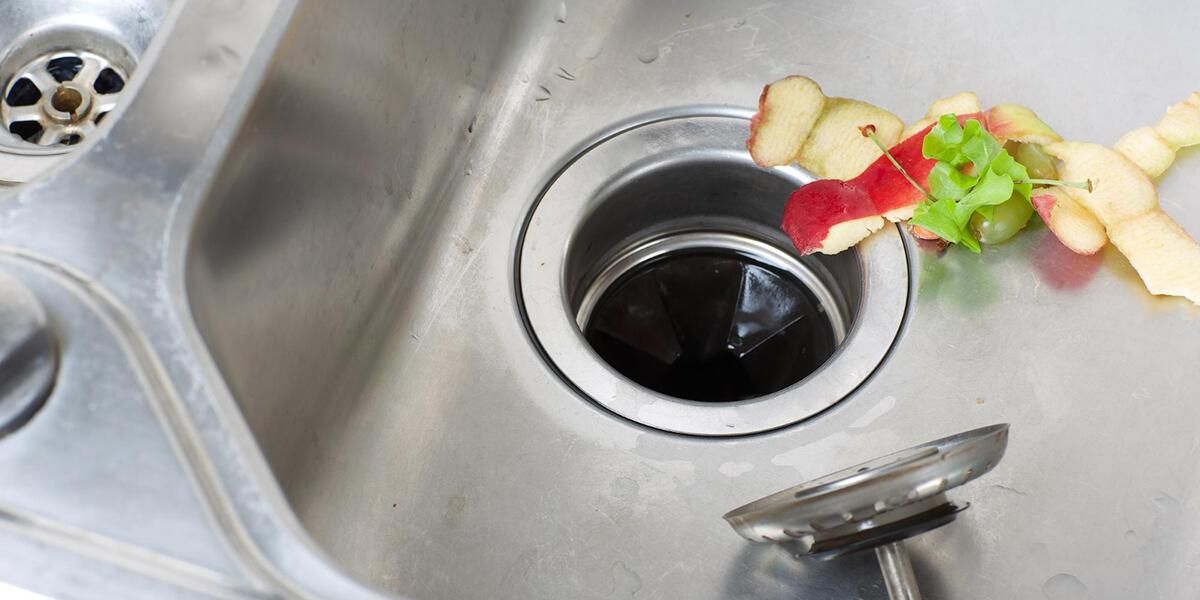 what can you put in a garbage disposal
