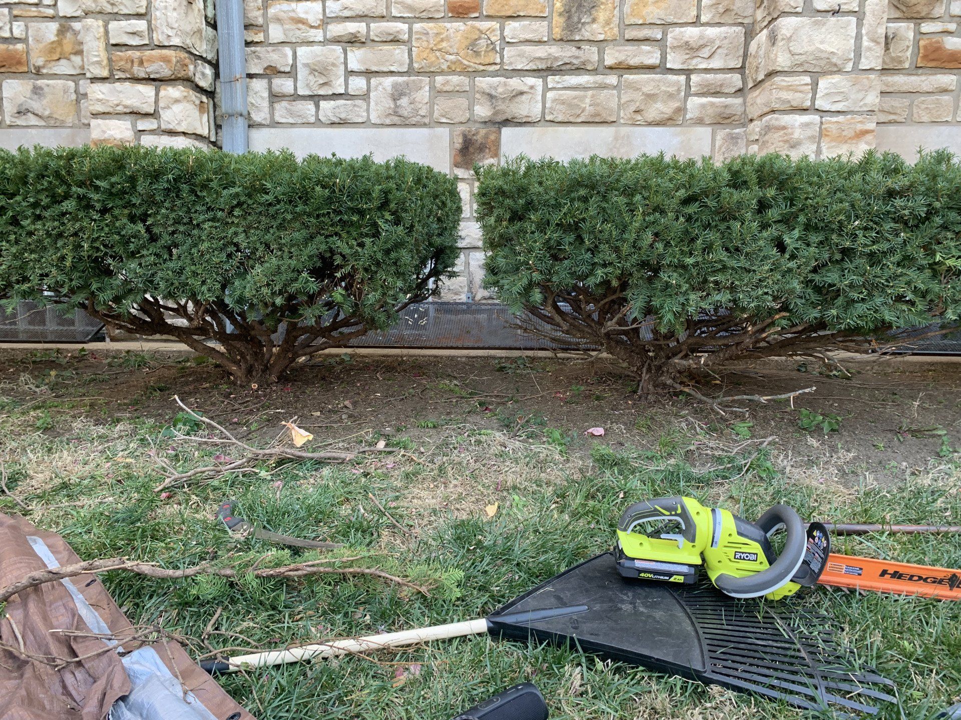 Trimming Green Shrubs — Kansas City, MO — Jay's Pro Arborist Care LLC